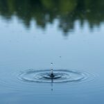 img_4e4f75b7-1924-4f51-811f-305e8c0bbbfe