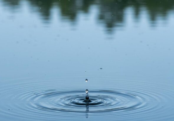 img_4e4f75b7-1924-4f51-811f-305e8c0bbbfe